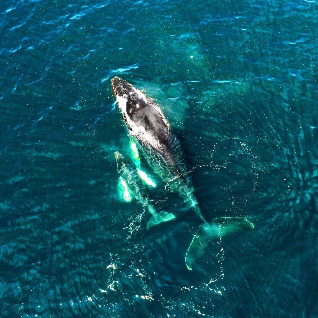 272625414_5022961481089812_7864969566053099059_n