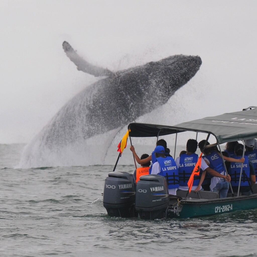 REROYTDI2BDVXOPNGMDD5TD34Q